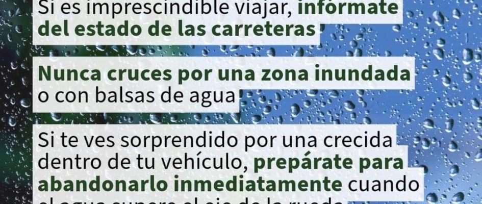 FB_IMG_1730289474487