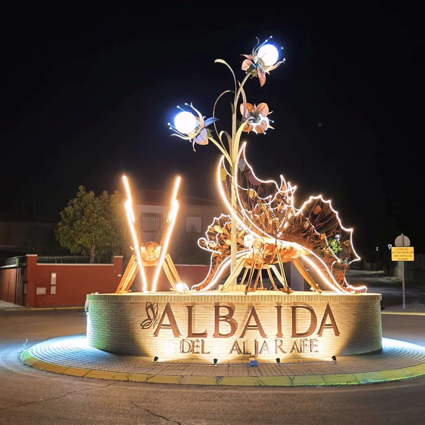 IMG_20241107_140719_376